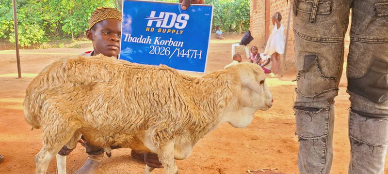 Korban 2026