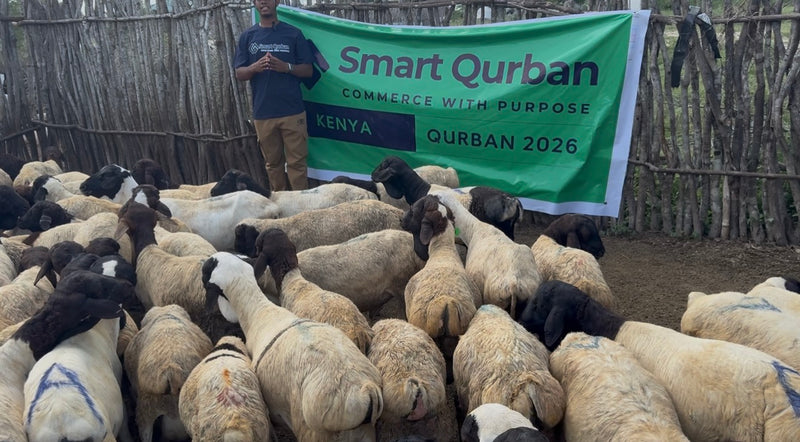 Korban 2026