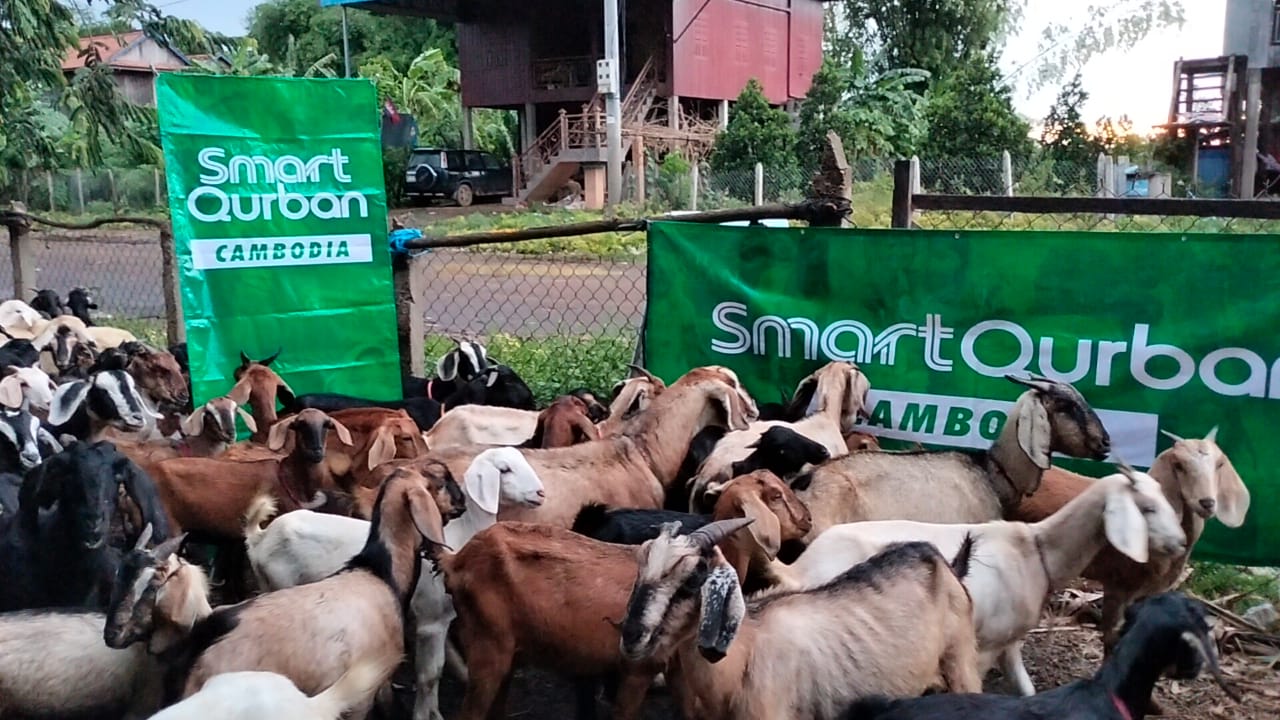 Kemboja (Kambing/Lembu)