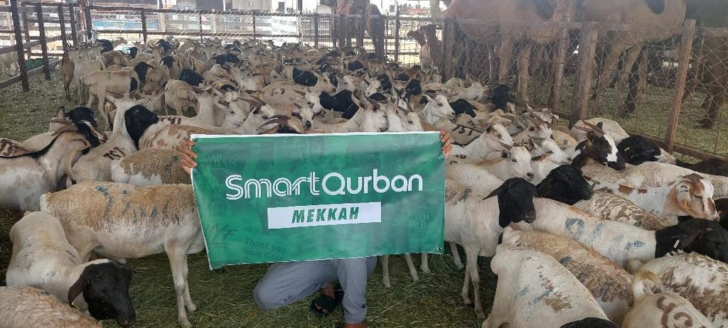 Mekkah (Kambing)