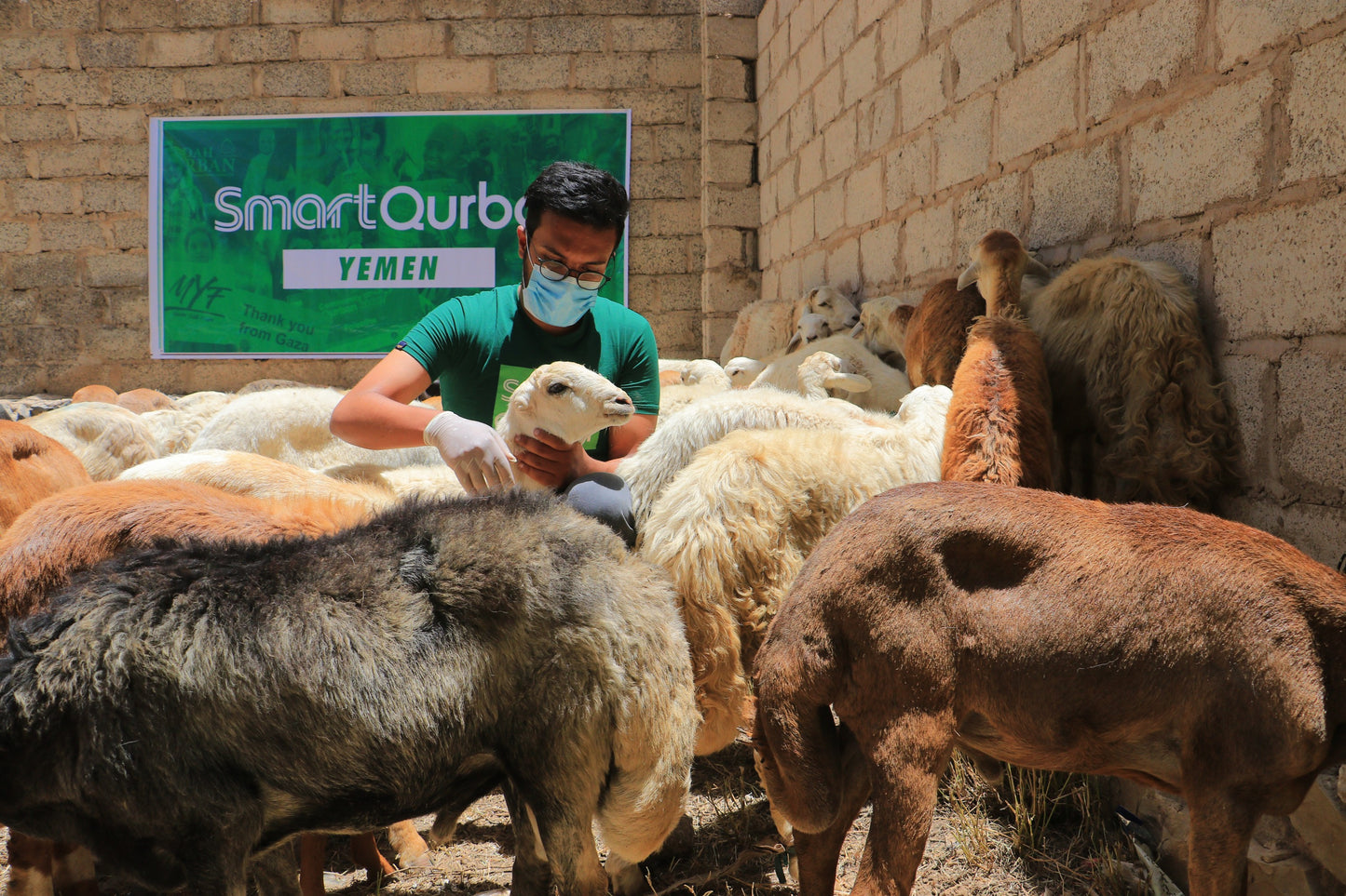 Yemen (Kambing)