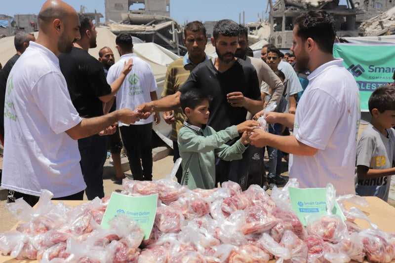 Meat packed and distributed