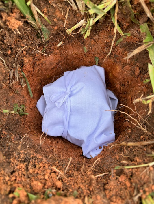 placenta burial
